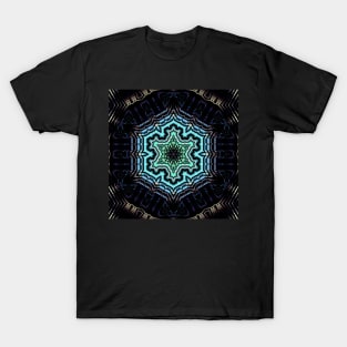 Elemental Ecstasy 41 T-Shirt